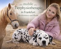 Profile picture Jennifer Hammer Tierphysio