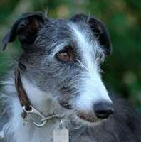 Profile picture Katja Versen Sattel in Balance