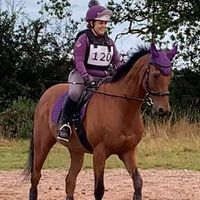 Profile picture Alison Bligh