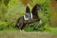 Profile picture Mik21