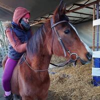 Profile picture M. Sieler