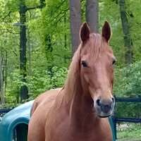 Profile picture Lenssen