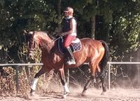 Profile picture daspferdmobil (Sabine)