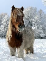 Profile picture Pia