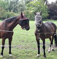 Profile picture Andrea Hammel