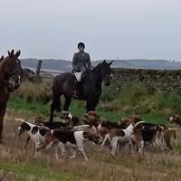 Profile picture Lyn McFadzen