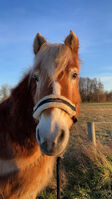Profile picture Pina