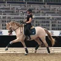 Profile picture Anna Wessel