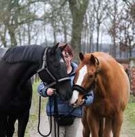 Profile picture Silvia