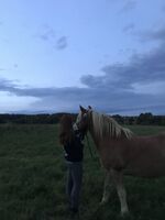 Profile picture