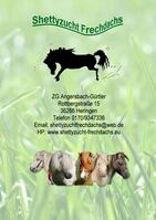 Profile picture Shettyzucht Frechdachs  (Nadine )