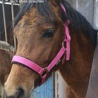 Profile picture Karharina
