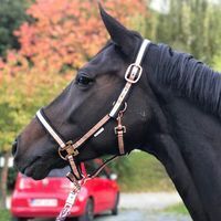 Profile picture Simone van Cayzeele