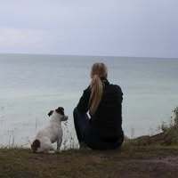 Profile picture Hundetanne