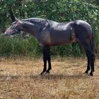 Profile picture Antony d'oria