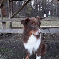 Profile picture Sabine