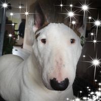 Profile picture Martina