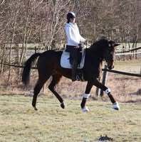 Profile picture Caro