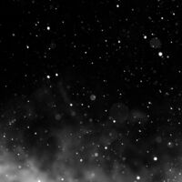 Profile picture Alexandra Teufl