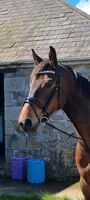 Profile picture Emma Wetson