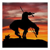 Profile picture Floh